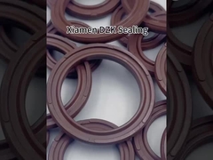 वायवीय सिलेंडर सील